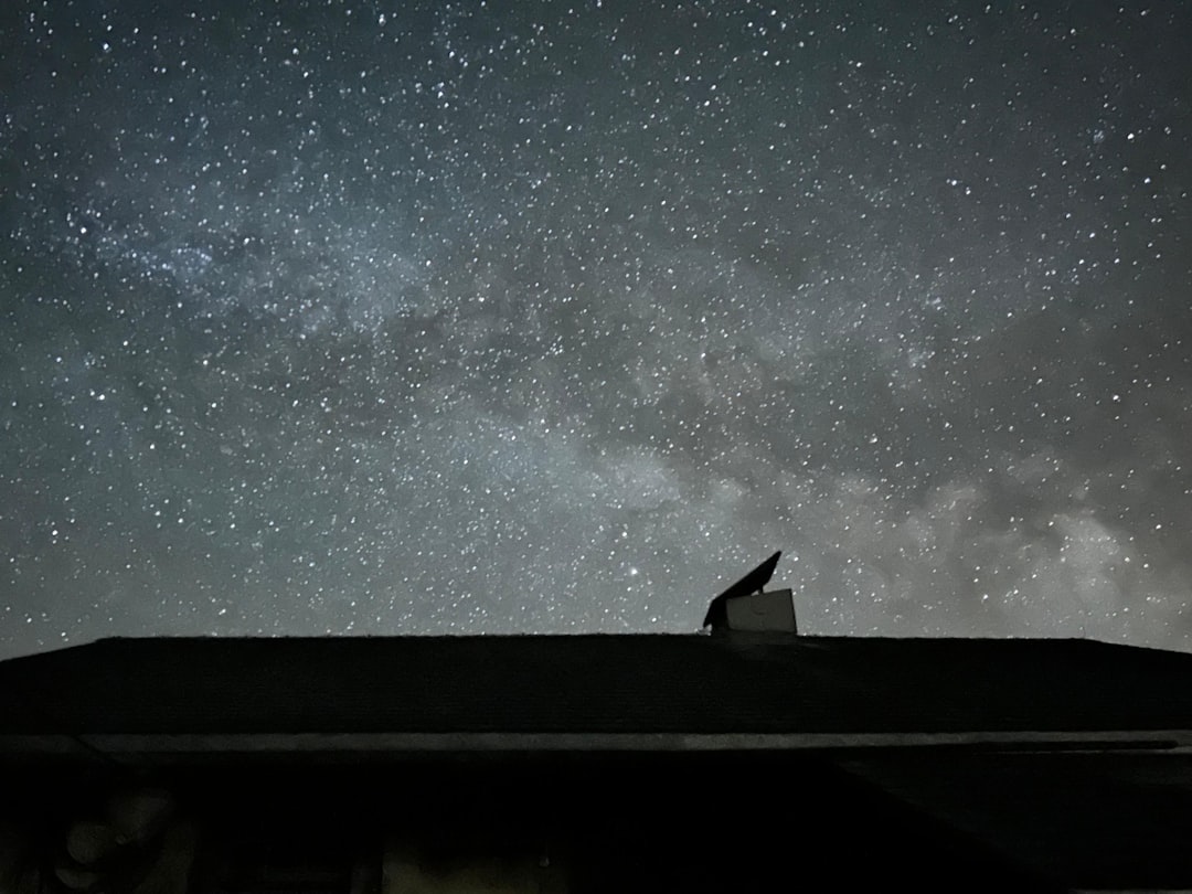 Mimpi Kucing: Jejak Primbon, Cahaya Islam, dan Bisikan Jiwa dalam Budaya Indonesia