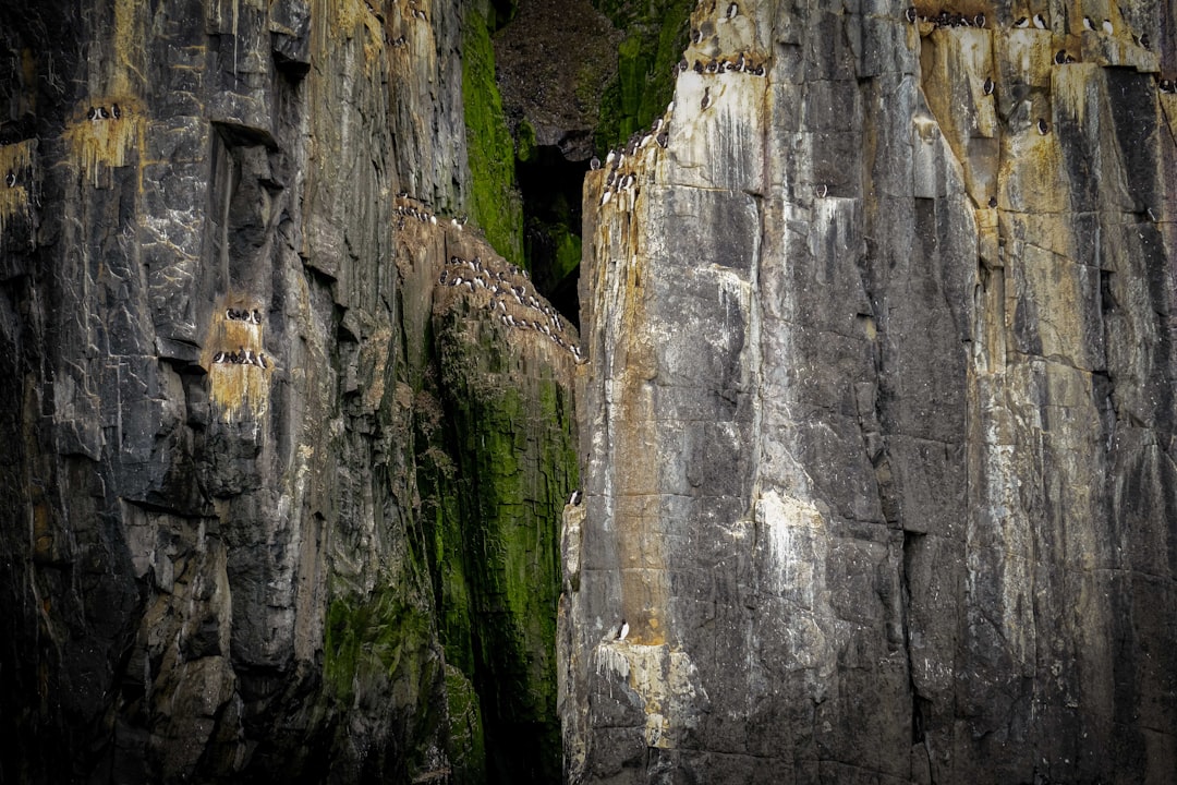 Jatuh dalam Mimpi: Pertanda Apa dari Alam Bawah Sadar, Primbon, dan Islam?
