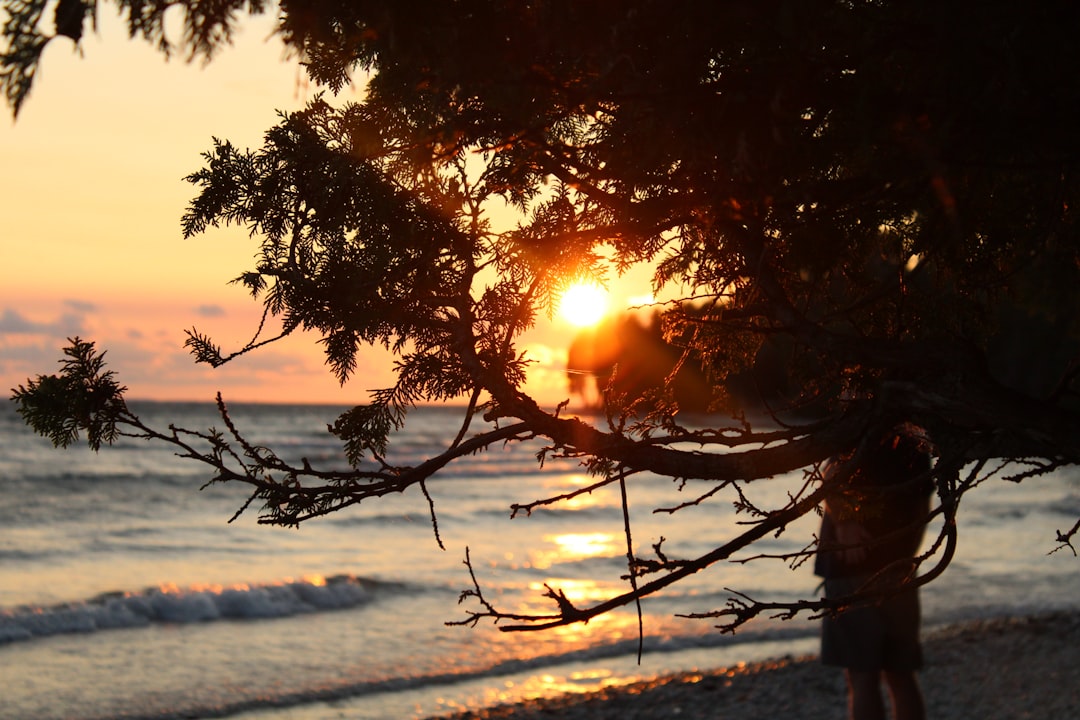 Menguak Makna Matahari dalam Mimpi: Harmoni Primbon, Islam, dan Jiwa