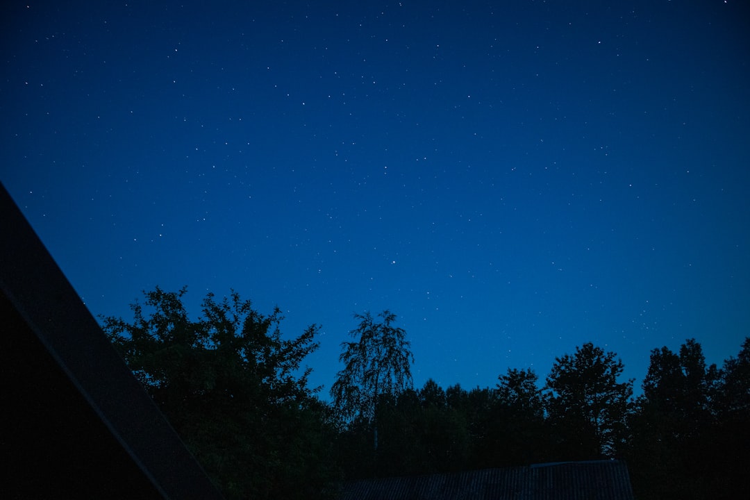 a night sky with stars and trees in the foreground
