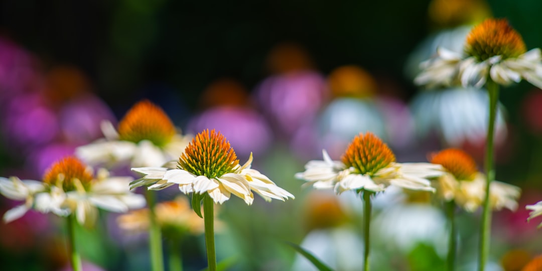 Menjelajahi Taman Mimpi: Makna Mendalam dari Kacamata Primbon, Islam Nusantara, dan Psikologi